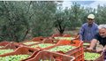papadimitriou_4