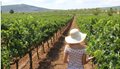 Armathos-winery-1-2048x1365
