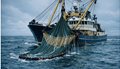 Baltic-Sea-Fishing-Quotas-2027-Cut-Cod-By-Catch-And-Lift-Sprat
