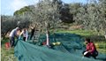 NETS-SPREAD-ELISABETTA-M-SPELLO-scaled