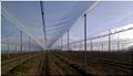 antihail_protection_1