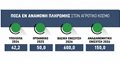 pliromes_2_