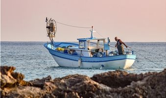 ALIEIA_1975-1_2