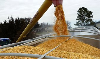 Corn-Exports