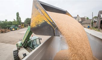 Loading-wheat-5258_GNP_9530_C_GNP