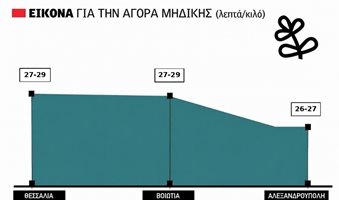 midiki_site_4