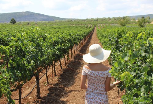 Armathos-winery-1-2048x1365