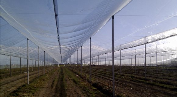 antihail_protection_1