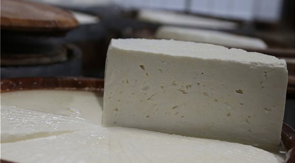 feta_11