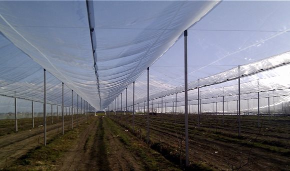 antihail_protection_1