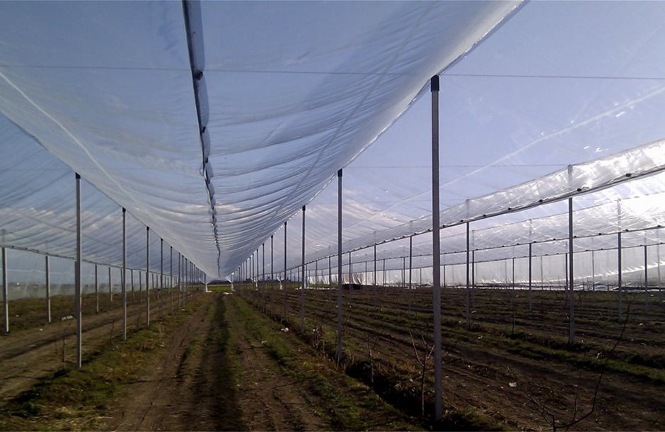 antihail_protection_1