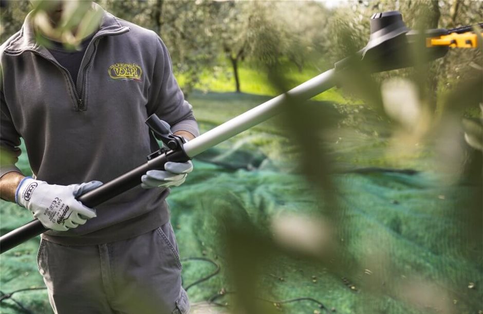 raccolta-meccanica-olive-1024x683